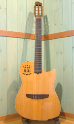 Godin Multiac